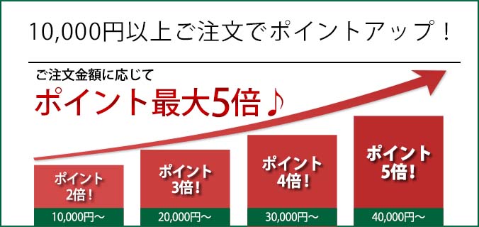 ポイントアップキャンペーン 